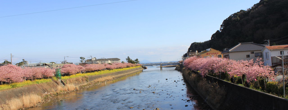 ɓĂ̖̍I͒ÍPQOiłI`ÉΌS͒Ò`