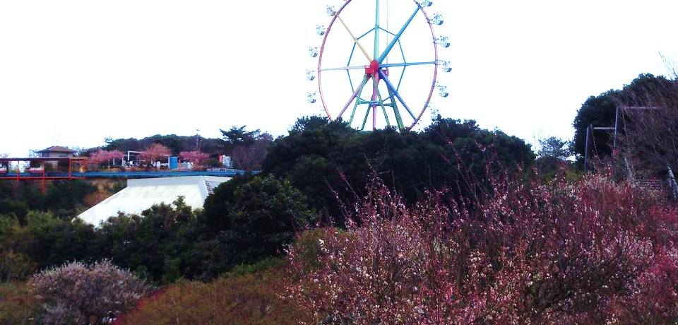 �������Ŋϔ~���y���߂�I�H�`���ɓ��A�ɓ��A�j�}���L���O�_���`