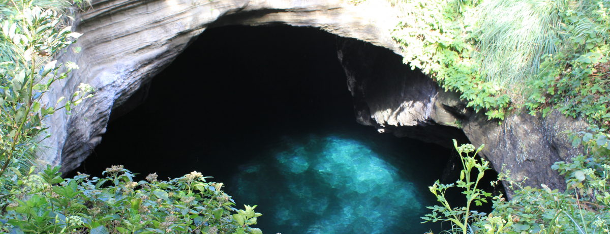 c߂łAɓĂ̌inwx`ɓ`