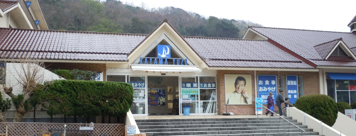 i̎叫ARYO~[WA`ΌSɓ`