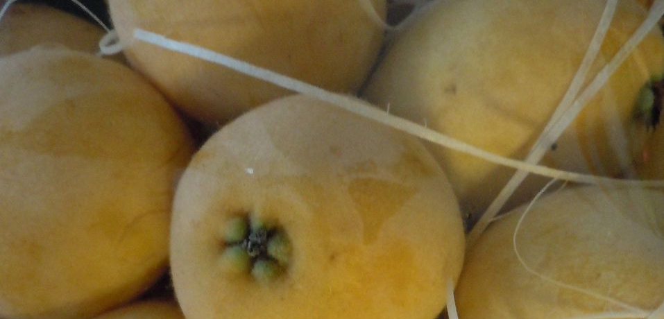 ��x�͐H�ׂ����I���Ă̕�΁w���̔��т�x�����߁A�ɓ��s�y���