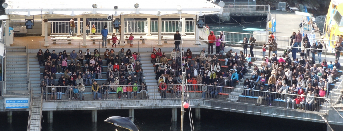 ���E���̃C���J�����فu�ɓ��E�O�ÃV�[�p���_�C�X�v�̃V���[�͐������I�I