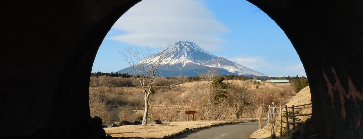 �x�m�R�[�Łu�ǂł����v�V�ڂ��I�x�m�R���ǂ��̍� �`�x�m�s�`