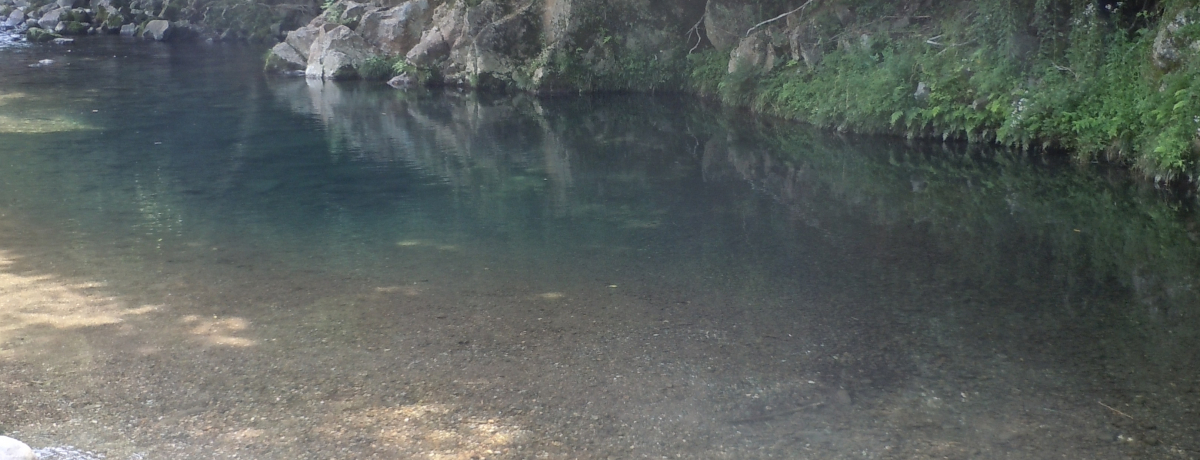 V̐ŐVсIɓsuLꁕݏ̑v