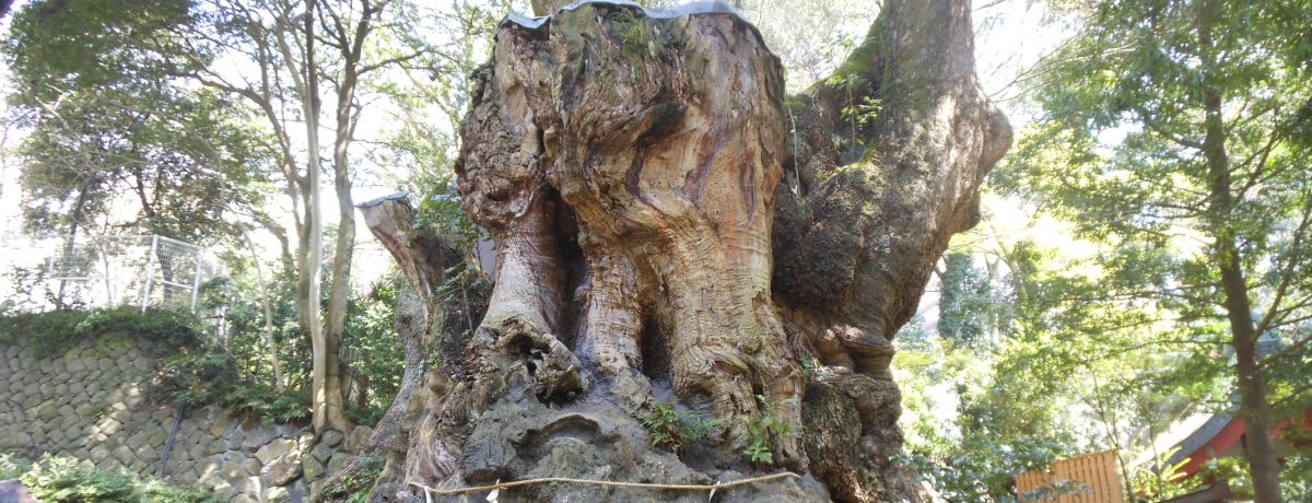 N𒴂鋐؂Ńp[AbvIMCsuҋ{_Ёv