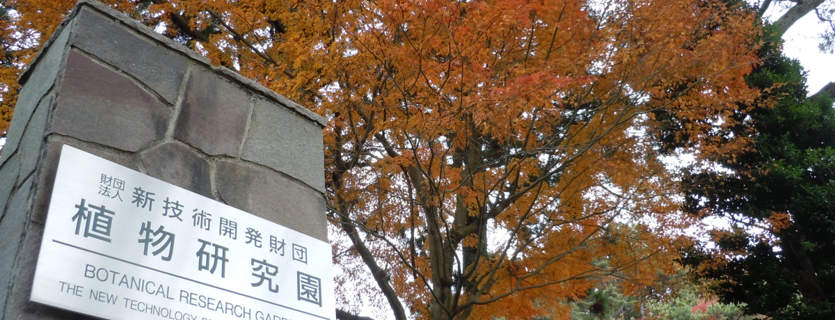 ���󏭁I����J�̍g�t!?�M�C�s�u�V�Z�p�J�����c �A���������v