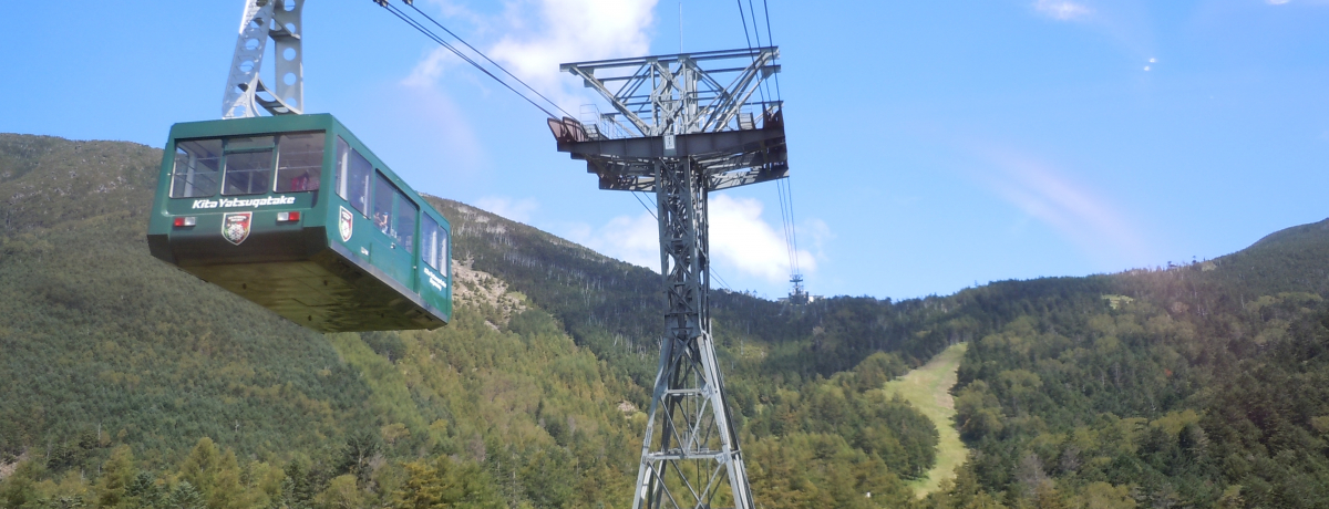 �W��2237���̊���Ȑ�i!?�M�B�u�k�����x���[�v�E�F�C�v