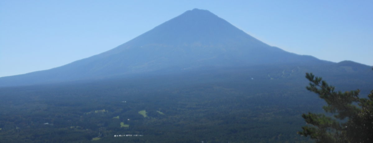 �l���ς��ς����{��̐�i�I�R���E��u�g�t��v