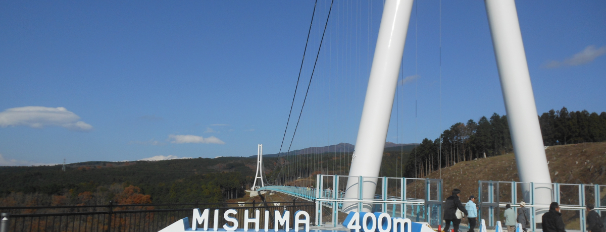 �����Œ��݂̒苴�I����i�̐V�X�|�b�g�u�O���X�J�C�E�H�[�N�v