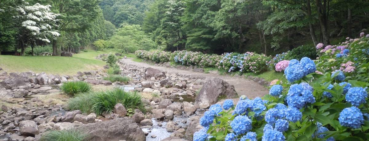 g100IhŐƎR𖞋iIɓ̍us̐Xv