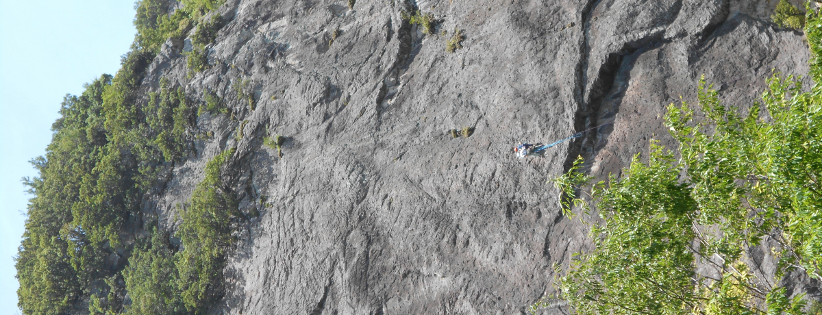 ΎOŊy߂!?ɓ̍uRnCLOR[Xv