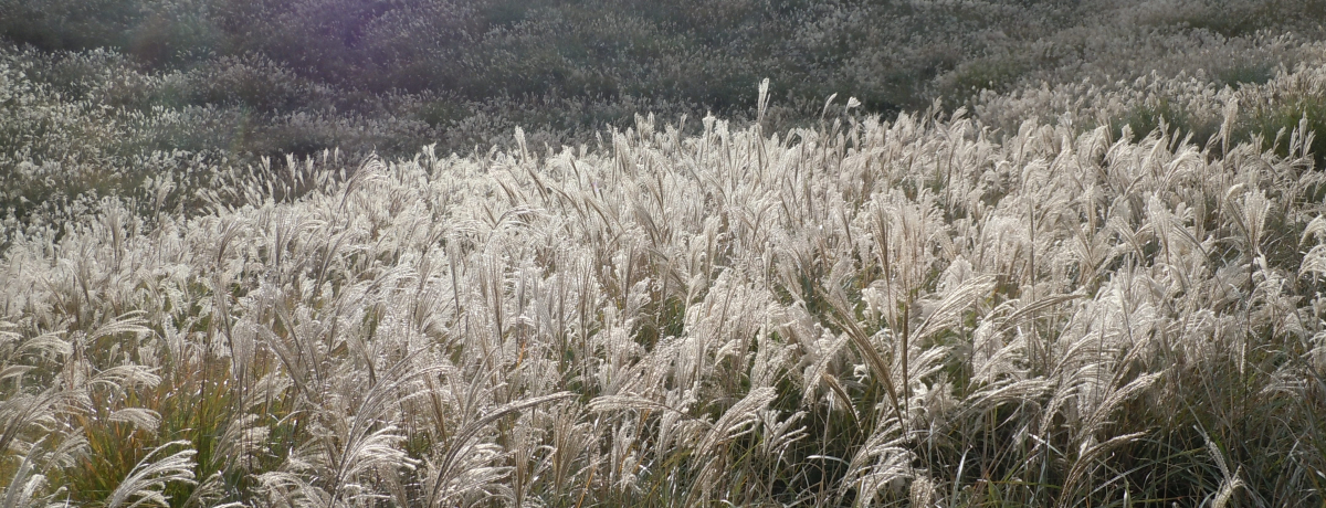 125hảF̑IɓEז썂uĤCxgv