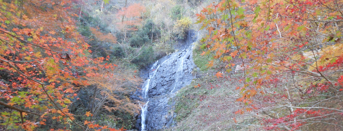 ɓŌImꂴ錊ȍgtX|bguv