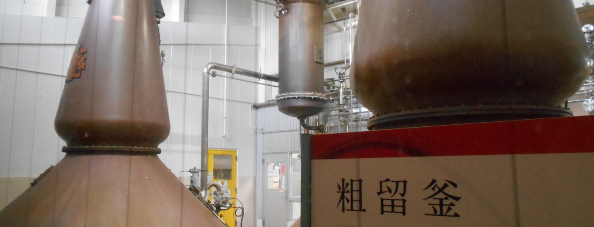 {EBXL[̊IL̍Hꌩwuxmav