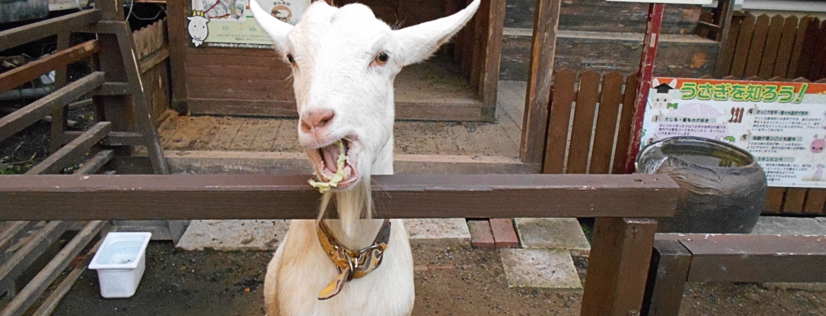 T[rXڂŖOȂzeIEu앗Ov