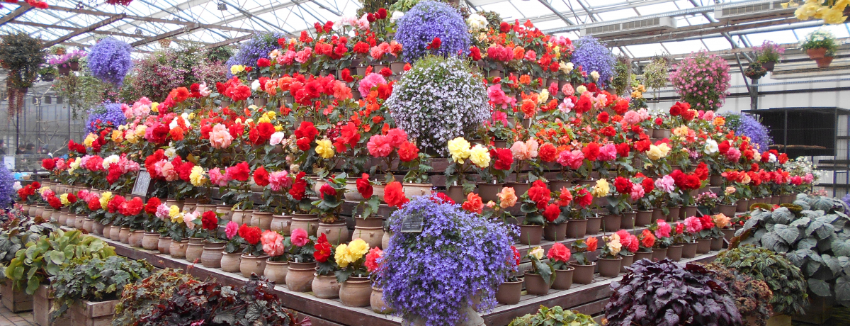 ɑւ̃xSjAẼtNEIxm{suxmԒv