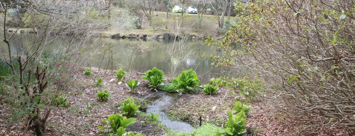 X̑̊IÉ݂וSIE쒬u̐Xv