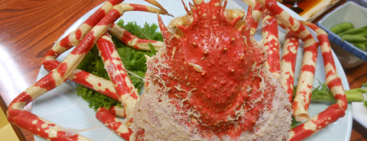 ���ɓ��˓c�̎|�����W���I�����K�񁕍��������̏h�u�邳��v