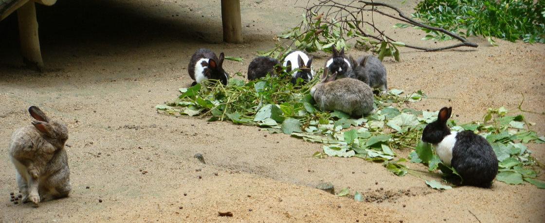 ɉɐ_ˎsXѐAցI|q̃~N\tg