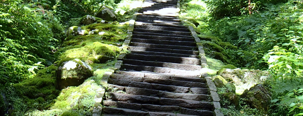 R`EHR̉āB\NɂPx̌䉏NɐÎȐXɖ钩UI