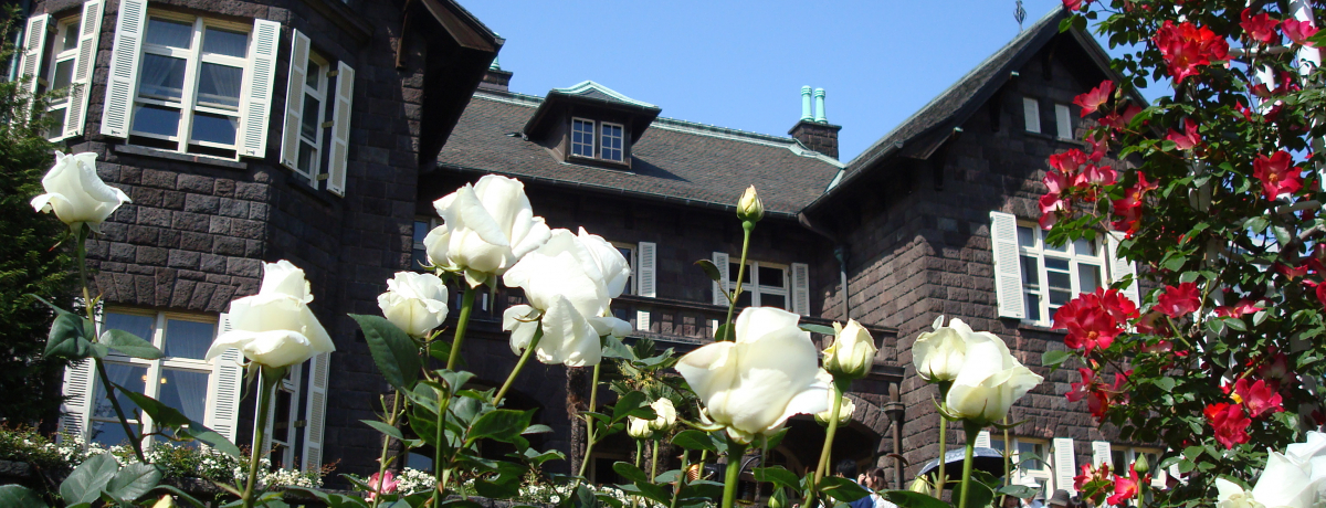 吳}U@É͒뉀ijt̃otFXeBoɍsI