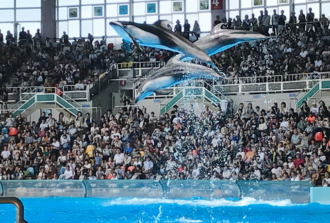 �a�̎R�A�h�x���`���[���[���h�Ő�ΊO���Ȃ��������V���[5�I