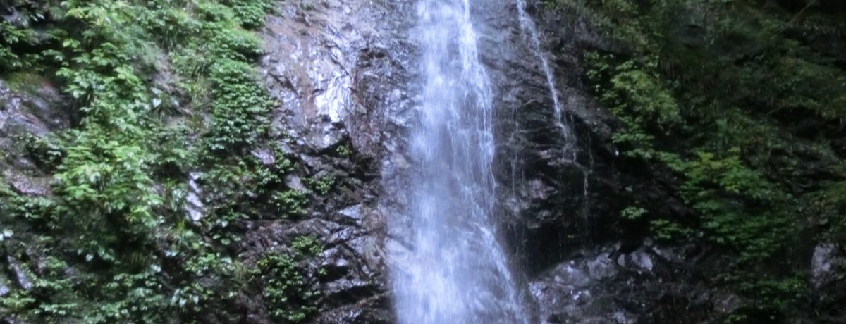 �����ɂ�����܂������{�̑�P�O�O�I!�I�w�����ɂ���u����̑�v�͖����̃X�|�b�g