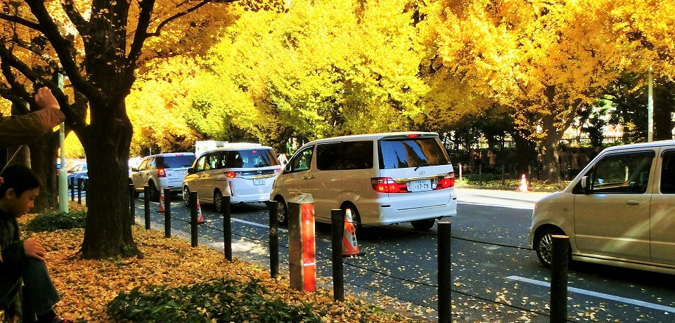 ῂقǂ̉Fɐ܂I_{Ô傤