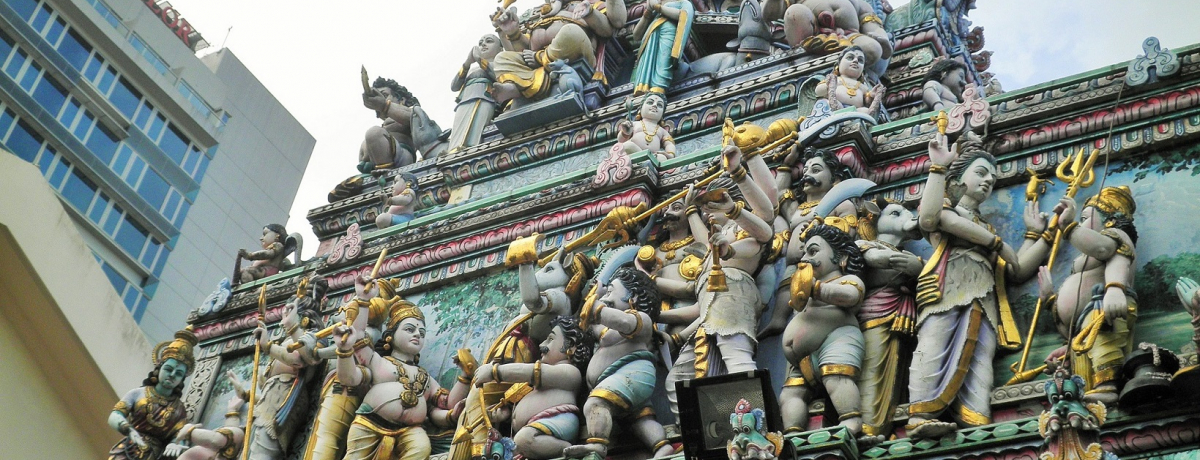 VK|[̃AuXg[gAgCfBAňٍɐG