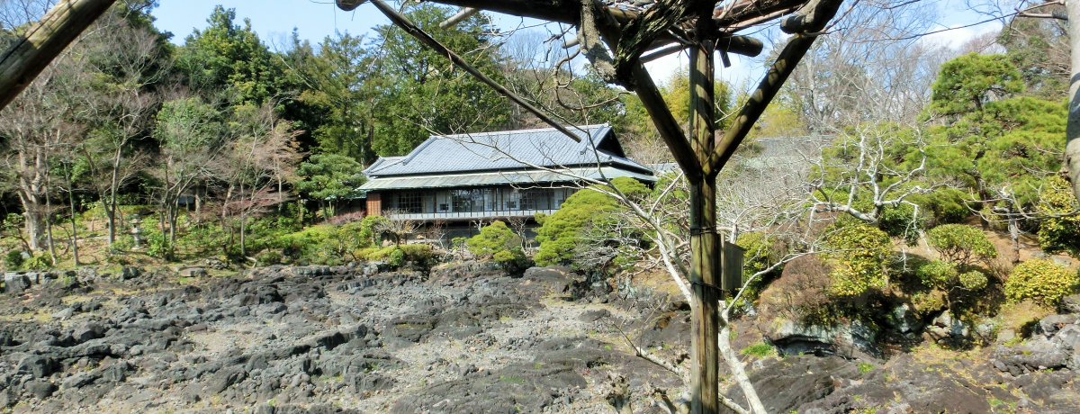 �ǔ��͂̕x�m�R�n�◬�Ղ�J�s�o�����y���߂�I�O���u�y�����v