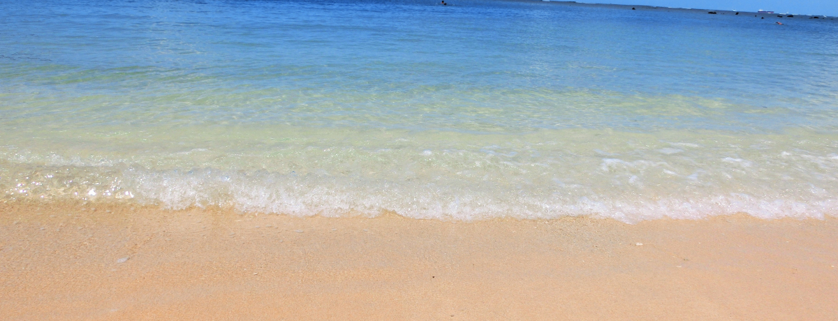 CLLr[`InCuAAivŃr[`ƃVbsO𖞋i