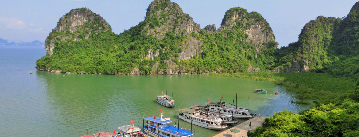 �V�[�t�[�h�����`�ɂ����ς��΂��I���A��u�x�g�i���n�����p�N���[�Y�v