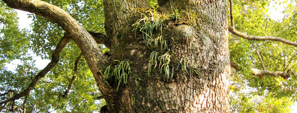 gg̖؂Ij[A_ސEuwvœA艷