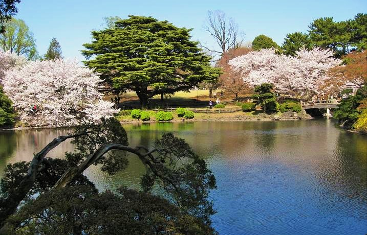 I651000{̍炫Vh䉑̊yݕ