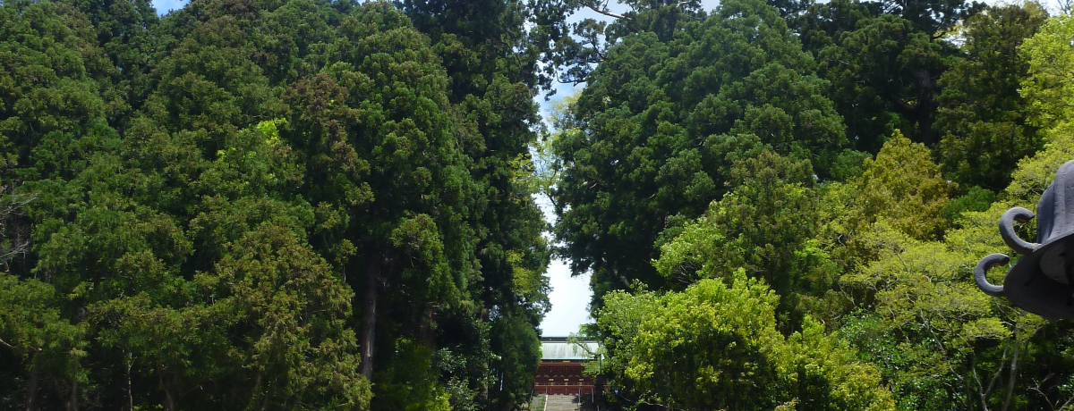 ʂ߂Ă͂Ȃ{wd}_ЁxŃp[`[W悤I