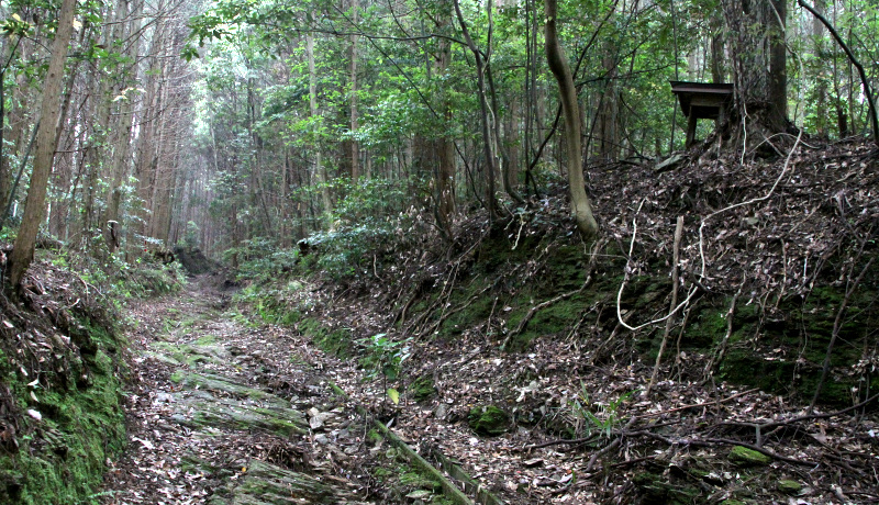 ˓̎RƗjIl՘Hŕuɗ\՘HvTI