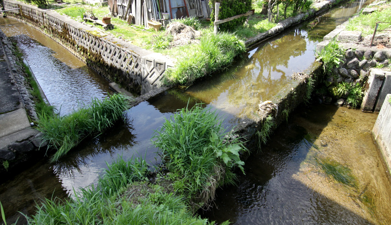 ���̌������鐅�H�I�ŏ��M�^�ŉh�����R�`���u����̒���v