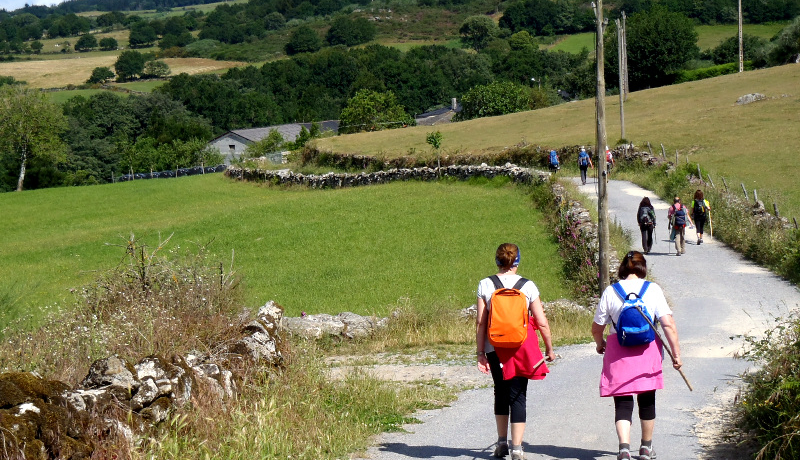 XyCE߂ẴTeBAS̓TA100km߁I