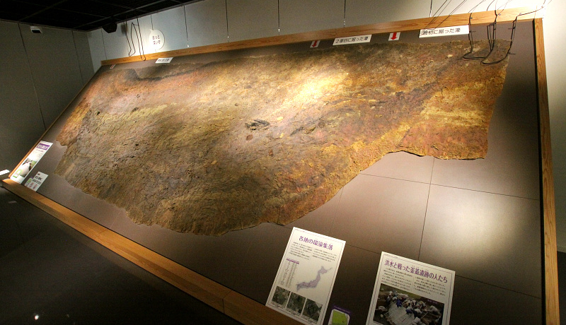 �퐶����Õ�����̏W���ϑJ�����ǂ�I�V�����u�㑾��ՌQ�v