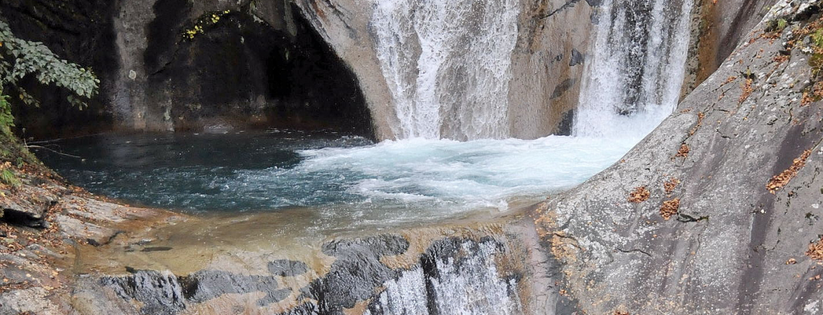 RskJ͖͓Iȑ̖WnсIGh̖eƍgt̃R{[Vy!!