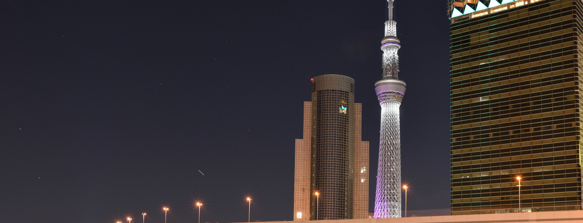 ƌ̌̕_A󑐎ƓXJCc[̑fGȎBƃOX|bgI