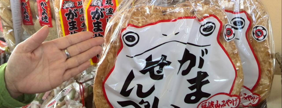 �p���[�X�|�b�g�}�g�R�Ŕ����I�����߂��y�Y�x�X�g5