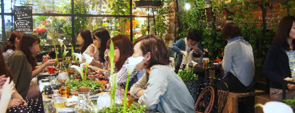 �R�ɗ΂̃I�A�V�X�I���ԉ�����̃J�t�F