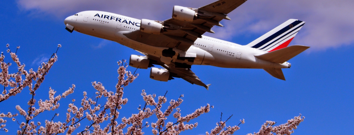 ~s@̃R{͈Iucs̎RvłԌI