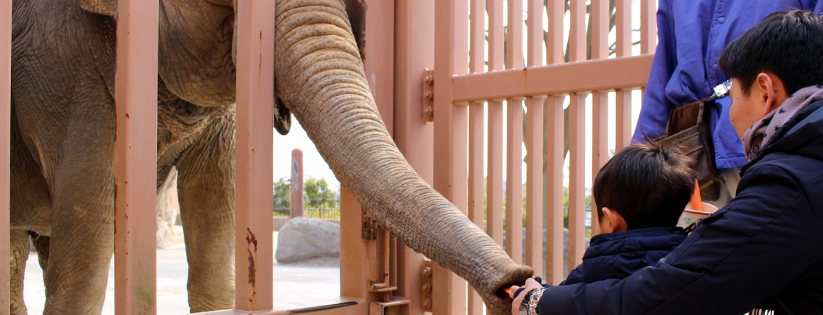 ͖_I]EL̃GŤIu݂˓v͓߂ĒyI