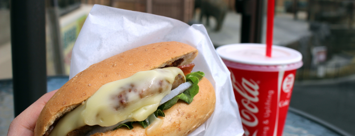 헤o[K[iIEuGt@gJtFv̓]EƑm]߂JtF