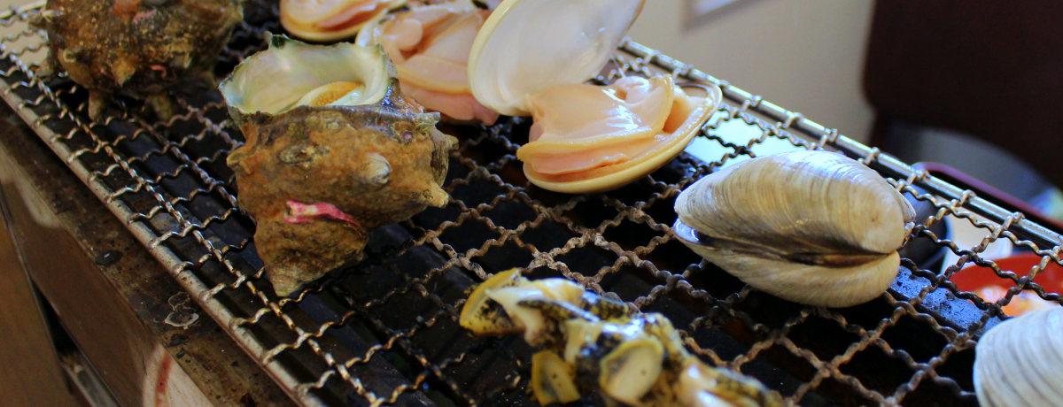 ؍XÃAEgbgOuvŕlĂIIŏĂI