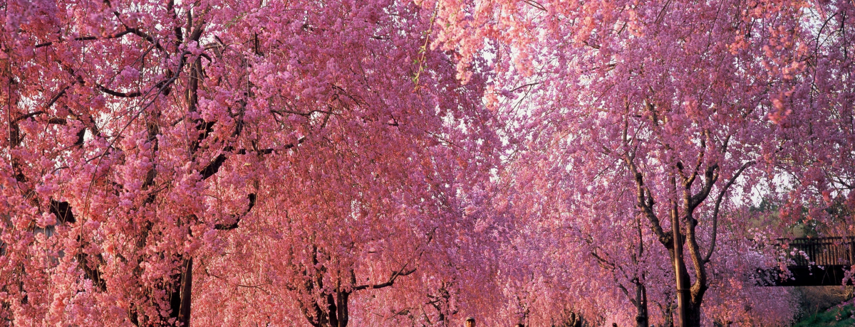 ̃gl͊mIu헤yL̋uvłԌĨCgAbvI
