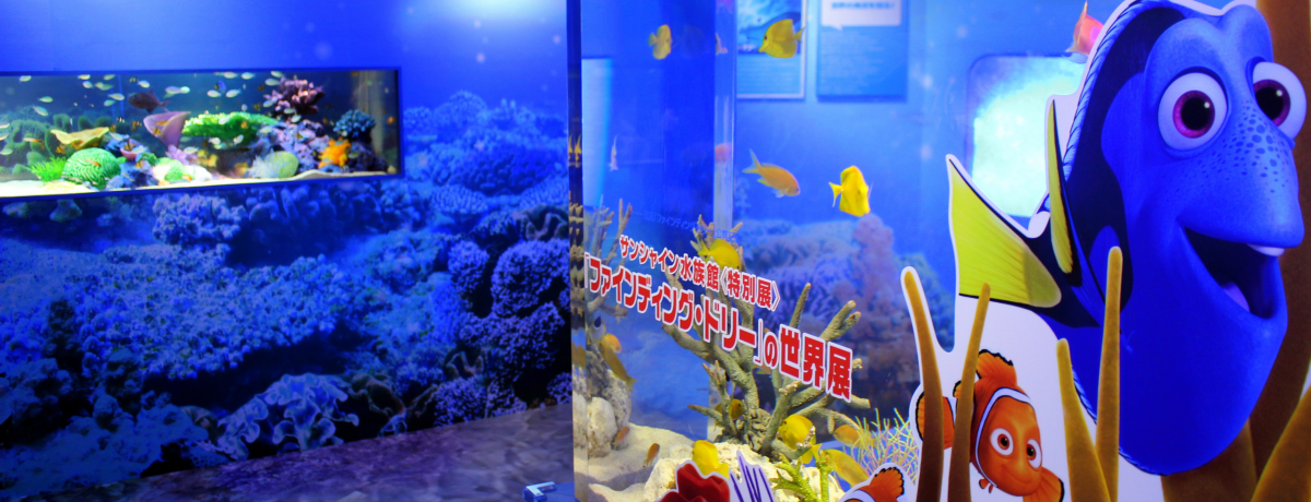 h[ɉɍsIr܃TVCفut@CfBOEh[̐EWv2016