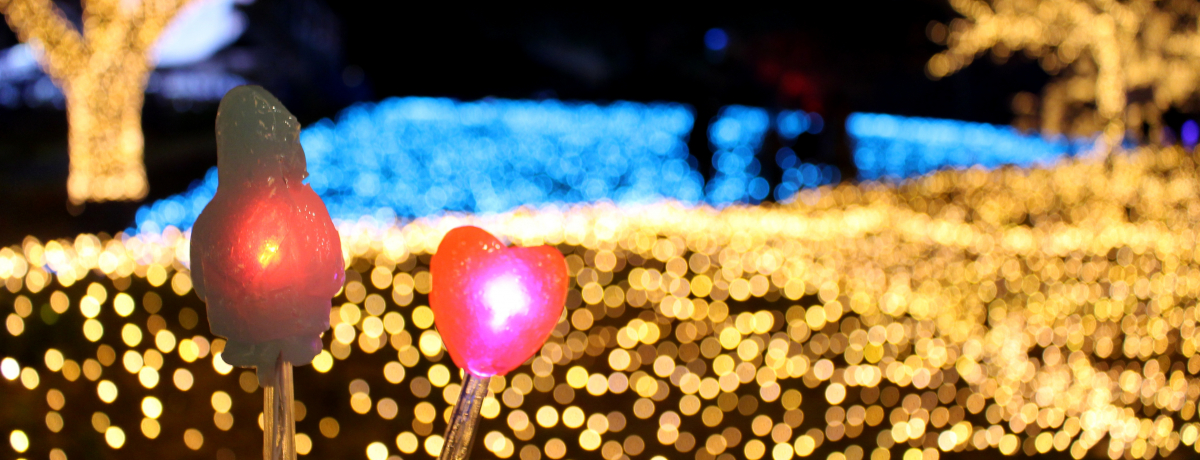 800~`y߂I_ސu݌΃C~Iv͒tHgWFjbN